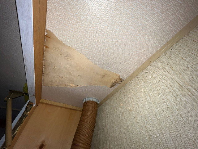 Vochtschade achter behang