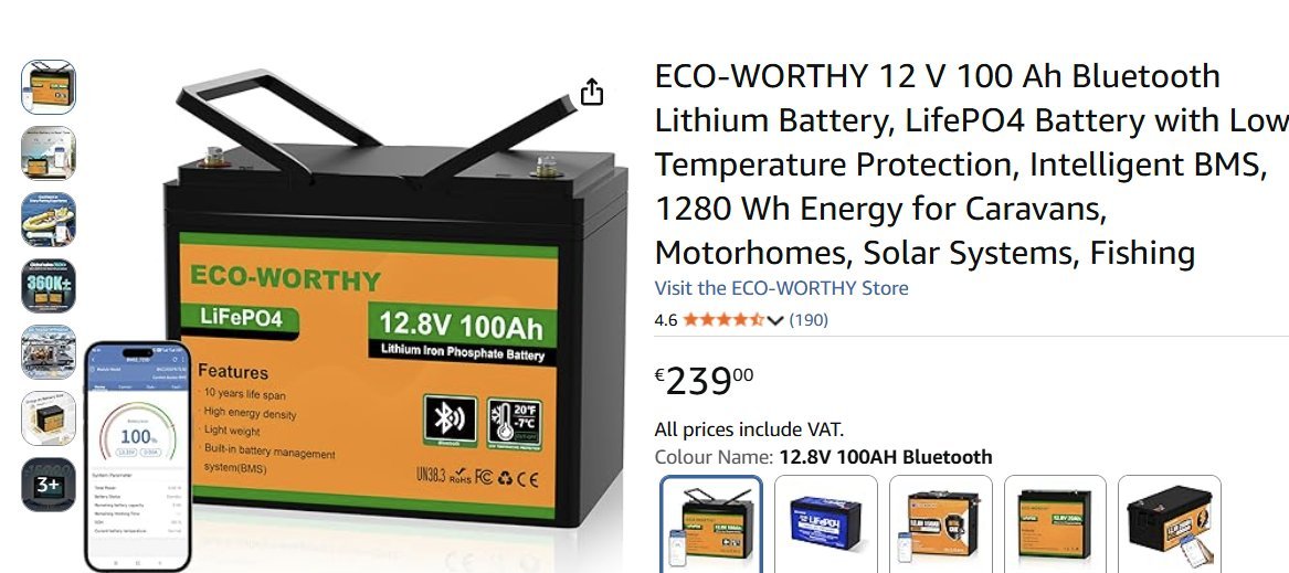 LFP 100Ah accu voor €239 op Amazon